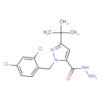 Chemical structure of 3-tert-butyl-1-[(2,4-dichlorophenyl)methyl]-1H-pyrazole-5-carbohydrazide - CSSB00015280961