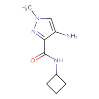 Chemical structure of 4-amino-N-cyclobutyl-1-methyl-1H-pyrazole-3-carboxamide - CSSB00012264035