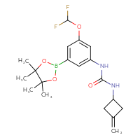 Chemical structure of 1-[3-(difluoromethoxy)-5-(4,4,5,5-tetramethyl-1,3,2-dioxaborolan-2-yl)phenyl]-3-(3-methylidenecyclobutyl)urea - CSSB21332058216