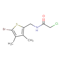 Chemical structure of N-[(5-bromo-3,4-dimethylthiophen-2-yl)methyl]-2-chloroacetamide - CSSB20862489395