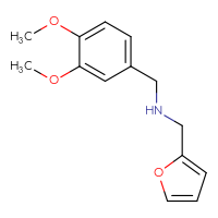 Chemical structure of [(3,4-dimethoxyphenyl)methyl][(furan-2-yl)methyl]amine - CSSB00015337057