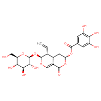 Chemical structure of (3R,4aS,5R,6S)-5-ethenyl-1-oxo-6-{[(2S,3R,4S,5S,6R)-3,4,5-trihydroxy-6-(hydroxymethyl)oxan-2-yl]oxy}-1H,3H,4H,4aH,5H,6H-pyrano[3,4-c]pyran-3-yl 3,4,5-trihydroxybenzoate - CSSB06256043788