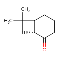 C10H16O