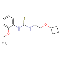 Chemical structure of 3-(2-cyclobutoxyethyl)-1-(2-ethoxyphenyl)thiourea - CSSB01652247660