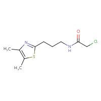 Chemical structure of 2-chloro-N-[3-(4,5-dimethyl-1,3-thiazol-2-yl)propyl]acetamide - CSSB20582485125