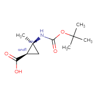 C10H17NO4