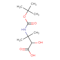 C10H19NO5