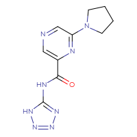 Chemical structure of 6-(pyrrolidin-1-yl)-N-(1H-1,2,3,4-tetrazol-5-yl)pyrazine-2-carboxamide - CSSB00103856656