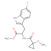 C17H19FN2O4
