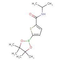 Chemical structure of N-(propan-2-yl)-5-(4,4,5,5-tetramethyl-1,3,2-dioxaborolan-2-yl)thiophene-2-carboxamide - CSSB02516784708