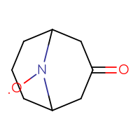 Chemical structure of {3-oxo-9-azabicyclo[3.3.1]nonan-9-yl}oxidanyl - CSSB03549785147
