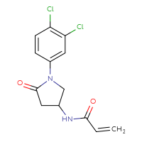 Chemical structure of N-[1-(3,4-dichlorophenyl)-5-oxopyrrolidin-3-yl]prop-2-enamide - CSSB21332062240
