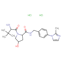 Chemical structure of 1-(2-amino-3,3-dimethylbutanoyl)-4-hydroxy-N-{[4-(2-methyl-1H-imidazol-1-yl)phenyl]methyl}pyrrolidine-2-carboxamide dihydrochloride - CSSB20620693034