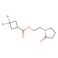 C11H15Br2NO3