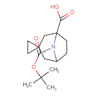 Chemical structure of 8-[(tert-butoxy)carbonyl]-8-azaspiro[bicyclo[3.2.1]octane-3,1'-cyclopropane]-5-carboxylic acid - CSSB20620695947