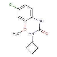 Chemical structure of 1-(4-chloro-2-methoxyphenyl)-3-cyclobutylurea - CSSB01998272294