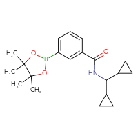 Chemical structure of N-(dicyclopropylmethyl)-3-(4,4,5,5-tetramethyl-1,3,2-dioxaborolan-2-yl)benzamide - CSSB02229494537