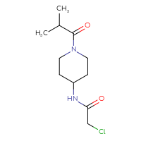 Chemical structure of 2-chloro-N-[1-(2-methylpropanoyl)piperidin-4-yl]acetamide - CSSB00011211930
