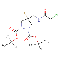 Chemical structure of 1,2-di-tert-butyl 4-[(2-chloroacetamido)methyl]-4-fluoropyrazolidine-1,2-dicarboxylate - CSSB06256510333