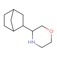 C11H19NO