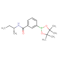 Chemical structure of N-[(2R)-butan-2-yl]-3-(4,4,5,5-tetramethyl-1,3,2-dioxaborolan-2-yl)benzamide - CSSB02519740889
