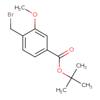 Chemical structure of tert-butyl 4-(bromomethyl)-3-methoxybenzoate - CSSB00020649338