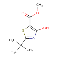 Chemical structure of methyl 2-tert-butyl-4-hydroxy-1,3-thiazole-5-carboxylate - CSSB00015645162