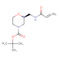 C13H22N2O4