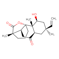 C20H28O4