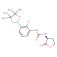Chemical structure of 1-[2-chloro-3-(4,4,5,5-tetramethyl-1,3,2-dioxaborolan-2-yl)phenyl]-3-[(3S)-2-oxooxolan-3-yl]urea - CSSB21245995214