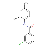 Chemical structure of 3-chloro-N-(2,4-dimethylphenyl)benzamide - CSSB00028332933