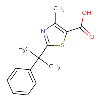 Chemical structure of 4-methyl-2-(2-phenylpropan-2-yl)-1,3-thiazole-5-carboxylic acid - CSSB00000696235