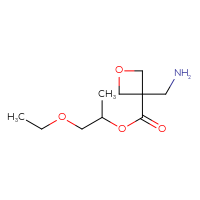 C10H19NO4