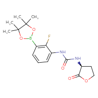 Chemical structure of 1-[2-fluoro-3-(4,4,5,5-tetramethyl-1,3,2-dioxaborolan-2-yl)phenyl]-3-[(3S)-2-oxooxolan-3-yl]urea - CSSB21245996647