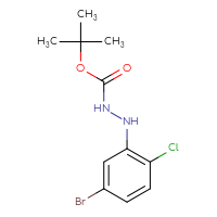Chemical structure of N'-(5-bromo-2-chlorophenyl)(tert-butoxy)carbohydrazide - CSSB21331812419