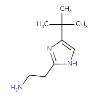 Chemical structure of 2-(4-tert-butyl-1H-imidazol-2-yl)ethan-1-amine - CSSB00116291453