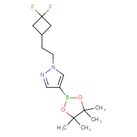 Chemical structure of 1-[2-(3,3-difluorocyclobutyl)ethyl]-4-(4,4,5,5-tetramethyl-1,3,2-dioxaborolan-2-yl)-1H-pyrazole - CSSB03555815285