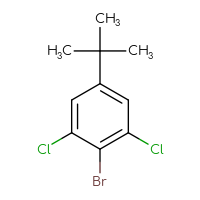 Chemical structure of 2-bromo-5-tert-butyl-1,3-dichlorobenzene - CSSB14994614174