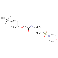 Chemical structure of 2-(4-tert-butylphenoxy)-N-[4-(morpholine-4-sulfonyl)phenyl]acetamide - CSSB00046890583