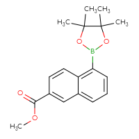 Chemical structure of methyl 5-(4,4,5,5-tetramethyl-1,3,2-dioxaborolan-2-yl)naphthalene-2-carboxylate - CSSB03567551652