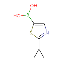 Chemical structure of (2-cyclopropyl-1,3-thiazol-5-yl)boronic acid - CSSB00019992286