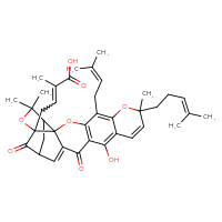 Chemical structure of 4-[12-hydroxy-8,21,21-trimethyl-5-(3-methylbut-2-en-1-yl)-8-(4-methylpent-3-en-1-yl)-14,18-dioxo-3,7,20-trioxahexacyclo[15.4.1.0²,¹⁵.0²,¹⁹.0⁴,¹³.0⁶,¹¹]docosa-4(13),5,9,11,15-pentaen-19-yl]-2-methylbut-2-enoic acid - CSSB02125605636