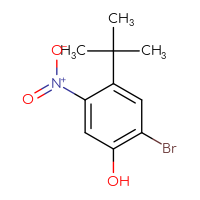 Chemical structure of 2-bromo-4-tert-butyl-5-nitrophenol - CSSB00010889376