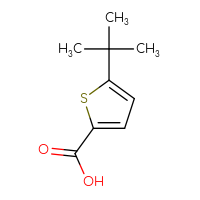 Chemical structure of 5-tert-butylthiophene-2-carboxylic acid - CSSB00000688854