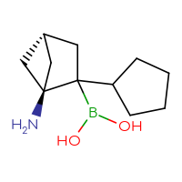 C11H20BNO2