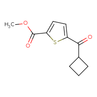 Chemical structure of methyl 5-cyclobutanecarbonylthiophene-2-carboxylate - CSSB00038587531