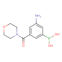 Chemical structure of [3-amino-5-(morpholine-4-carbonyl)phenyl]boronic acid - CSSB00020873723
