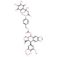 C45H47NO13