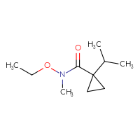 C10H19NO2