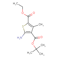 Chemical structure of 4-tert-butyl 2-ethyl 5-amino-3-methylthiophene-2,4-dicarboxylate - CSSB00000736518